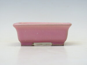 ~͔ ď  yƔ@튊ā@{@~͏ Mtg iz ~͐X OY|