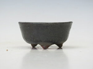 ~͔  ۔ yƔ ~͏ Mtg iz ~͐X OY|