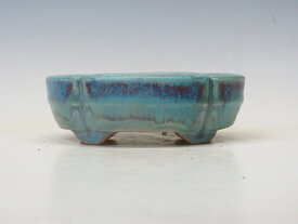 盆栽鉢 樹晃 木瓜鉢 【作家鉢 盆栽小鉢 人気商品 代引手数料無料】 盆栽専門店 三浦培樹園
