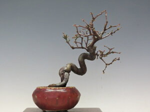 ~  y~j~ i~ Gؖ~ lCi 萔 z ~͐X OY|