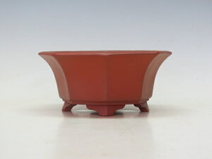 ~͔ 닻 p yƔ ~͏ lCi 萔z ~͐X OY|