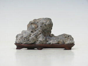  ^ y ~ R lCi E萔z ~͐X OY|