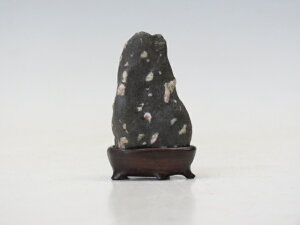  Y ~ѐ΁y ~ R lCi E萔z ~͐X OY|