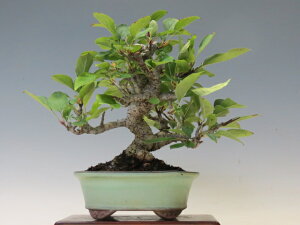 ~ PD y~j~ i~ ~ lCi 萔 z ~͐X OY|