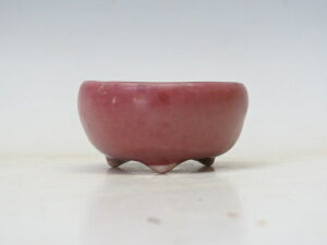 ~͔  ۔ yƔ ~͏ Mtg iz ~͐X OY|