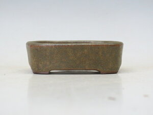 ~͔   yƔ ~͏ Mtg iz ~͐X OY|