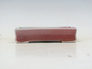 ~͔   yƔ ~͏ lCi 萔z ~͐X OY|