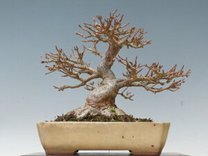 ~  y~j~ i~ Gؖ~ lCi 萔z ~͐X OY|