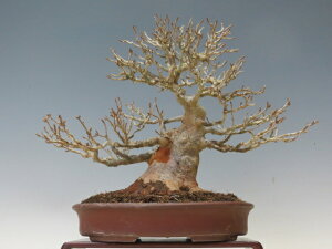 ~  y~j~ i~ Gؖ~ lCi 萔z ~͐X OY|