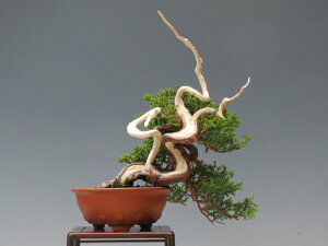 ~ ^ ijy~j~ i~ ~ lCi 萔 z ~͐X OY|