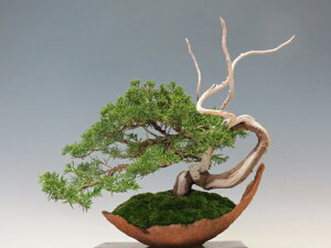 ~ ^ ijy~j~ i~ ~ lCi 萔 z ~͐X OY|