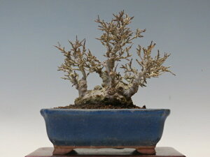 ~ ~ y~j~ i~ ~ lCi 萔z ~͐X OY|