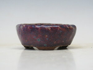 ~͔ t ۔ yƔ ~͏ Mtg iz ~͐X OY|