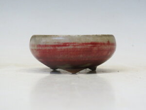 ~͔ R ۔ yƔ ~͏ Mtg iz ~͐X OY|