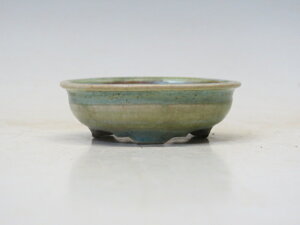 ~͔ R ۔ yƔ ~͏ Mtg iz ~͐X OY|