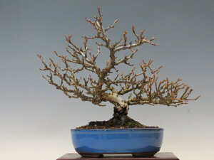 �~�� �����~�y�~�j�~�� ���i�~�� �ԕ��~�� �l�C���i �����E����萔�������z �~�͐��X �O�Y�|����