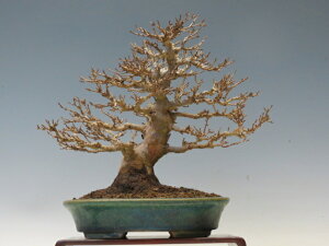 �~�� ������ �y�~�j�~�� ���i�~�� �G�ؖ~�� �l�C���i ����萔�������z �~�͐��X �O�Y�|����