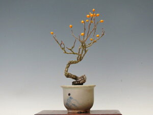 �~�� ��~���ǂ��y�~�j�~�� ���i�~�� �����~�� �M�t�g �����������i�z �~�͐��X �O�Y�|����