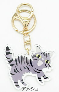 ANL[ ANL[z_[ lR V[ ANZT[V[Y Lbg L cat `[t OєL VAu[ L Tog LWg AJV[gwA[ AV ԂL