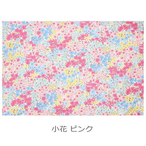 ランチマット S サイズ 2枚 女の子 幼稚園 保育園 子供 キッズ S 選べる 2枚セット ランチョンマット 給食 お弁当 食事 ランチ マット テーブル クロス ピンクニック女子 リボン 花柄 小花 フラ