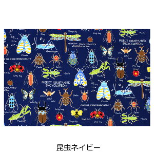 `}bg j̎q wZ w L 1 60 40 cm Pi `}bg 唻 傫 H ٓ H ` }bg NX ۈ牀 ct w jq      } T V