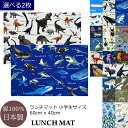 ランチマット L サイズ 2枚 男の子 60 40 cm 保育園 幼稚園 選べる 2枚セット ランチョンマット 大判 大きめ 給食 お…