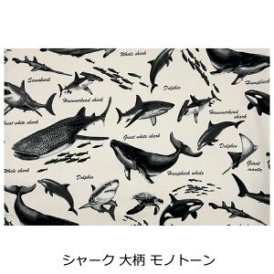 `}bg S TCY 2 j̎q 25 35 cm ۈ牀 ct Iׂ 2Zbg `}bg H ٓ H ` }bg NX TCY w jq C      } 