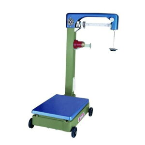 ͂ԕt 100kg B-100Z i atyz