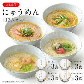 にゅうめん カップタイプ 12食セット V-D-12A 家庭用 【ネット限定 送料無料】 【のし・包装不可】 三輪山本 煮麺 即席めん そうめん カップ麺
