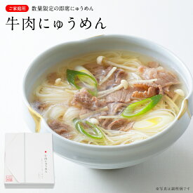 牛肉にゅうめん│ そうめん/にゅうめん 三輪山本 家庭用 NP-2 冬【のし・包装不可】