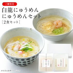 白龍にゅうめん・にゅうめんセット (V-HN-P) ネット限定 冬 ギフト