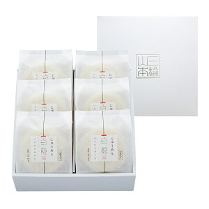 にゅうめん 白龍にゅうめん 40g×6食セット 贈答用 内祝い お返し 出産 おしゃれ お取り寄せ 三輪山本 直径約0.6ミリの極細麺 CH-6A