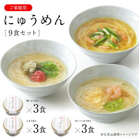 にゅうめん カップタイプ 9食セット V-D-9N 家庭用 【ネット限定 送料無料】 【のし・包装不可】 三輪山本 煮麺 即席めん そうめん カップ麺