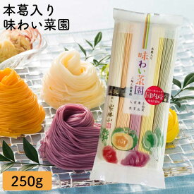 三輪山勝製麺 一筋縄 ノンオイル製法 手延べ 麺 味わい菜園 5束 AJ-5 色麺 三輪 そうめん ご自宅用 素麺 ソーメン にゅうめん 煮麺