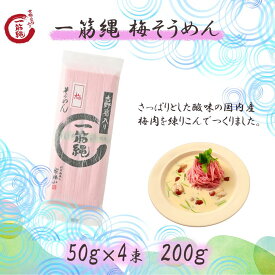 三輪山勝製麺 一筋縄 ノンオイル製法 手延べ 麺 一筋縄麦縄梅そうめん4束入 A-56 そうめん ご自宅用 素麺 手延べ ソーメン 梅 梅素麺 梅ソーメン 三輪山勝製麺