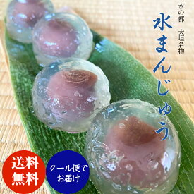 【簡易包装】 水まんじゅう 20個入り 冷凍 水 まんじゅう 水饅頭 饅頭 和菓子 ギフト 岐阜 銘菓 大垣 名物 有名 大垣市 大垣名物 お取り寄せ 美味しい 取り寄せ こしあん 冷凍 涼菓 冷菓 冷凍スイーツ 冷たいスイーツ 夏ギフト 冷凍和菓子 冷たい和菓子 送料無料 クール便