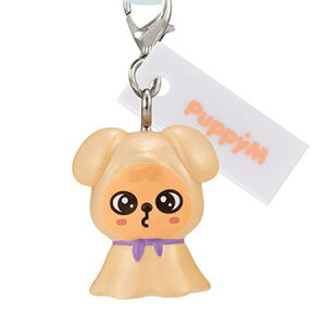  SKZOO ߂邵ANZT[ PuppyM Pi ps[G K` JvZ L ObY av A tBMA n