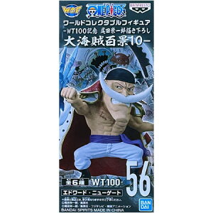 ONE PIECE s[X [hRN^utBMA WT100LO chY`낵 CSi10 56 Gh[hEj[Q[g Ђ [R Aj L ObY Xgbv 
