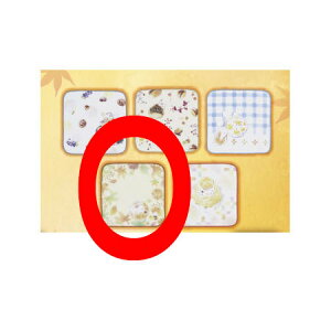  Ԃ ĖڗFl jR搶ƂققIÂ F nh^I 4 Pi