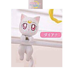  Vi  mZ[[[Eternal nORbg _CAi Pi K` o_C JvZ av A tBMA ObY ͌^ 