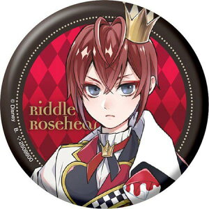  fBYj[ cCXebh_[h JvZʃobWRNV n[cr hE[Yn[g Pi cCXe Riddle Rosehearts BANDAI o_C A K` Q[ t