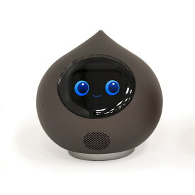 Romi ロミィ Lacatan ラカタン モデル ロボット ラカタンモデル コミュニケーションロボット 会話AIロボット | クリスマスプレゼント 子ども 会話ロボット 相談相手 日常会話