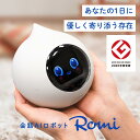 Romi ロミィ Lacatan ラカタン モデル ロボット ラカタンモデル コミュニケーションロボット 会話AIロボット | クリス…