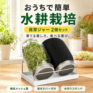 発芽キット ステンレス トレイ付き 2個 セット 栽培用 植物育成 ブロッコリースプラウト 落花生 スプラウ…