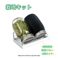 発芽キット ステンレス トレイ付き 2個 セット 栽培用 植物育成 ブロッコリースプラウト 落花生 スプラウ…