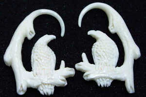 C[O{[sAXiyAj/12Q[W i12Gj   o[h {fBsAX ̊p⍜ AM[Ή Y fB[X CfBAWG[  {w~A yA 