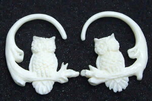 IE{[sAXiyAj/12Q[W i12Gj  tNE  o[h {fBsAX ̊p⍜ AM[Ή Y fB[X CfBAWG[  {w~A