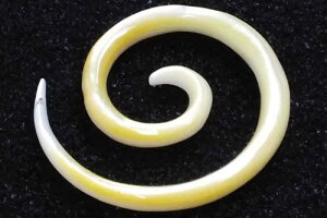 }C}CVFsAX 8Q[W 8G {fBsAX ^L AM[Ή Y fB[X CfBAWG[  {w~A yA zCgVF Lk  j[N 