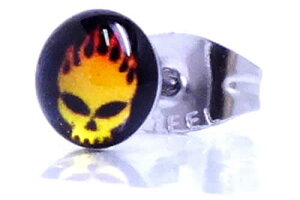 t@C[XJXeXsAXiubNj/1̔ T[WJXeX316L hN KCRc   20G 20Q[W Y fB[X AM[oɂ   X^bhsAX L