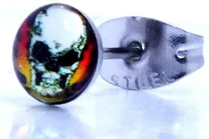 XJo[jOXeXsAX/1̔  hN KCRc R  t@C[  T[WJXeX316L 20G 20Q[W Y fB[X AM[oɂ   X^b